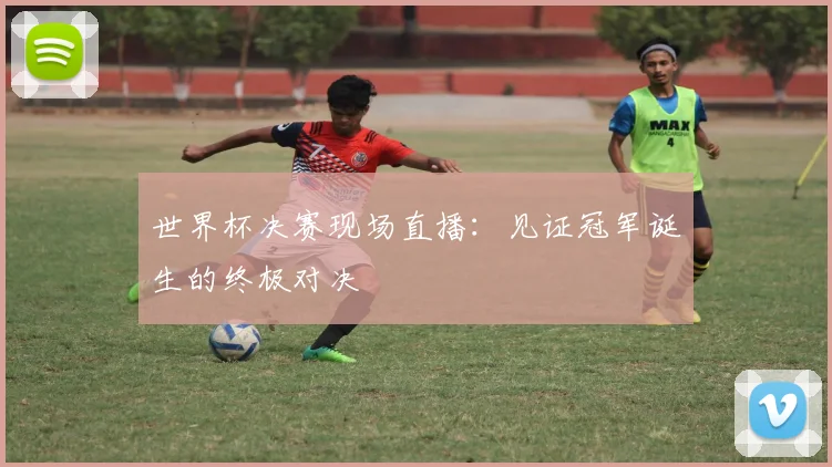 世界杯决赛现场直播：见证冠军诞生的终极对决