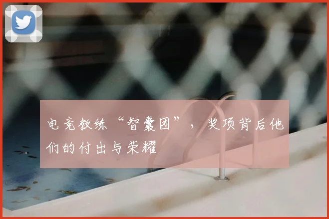电竞教练“智囊团”,奖项背后他们的付出与荣耀