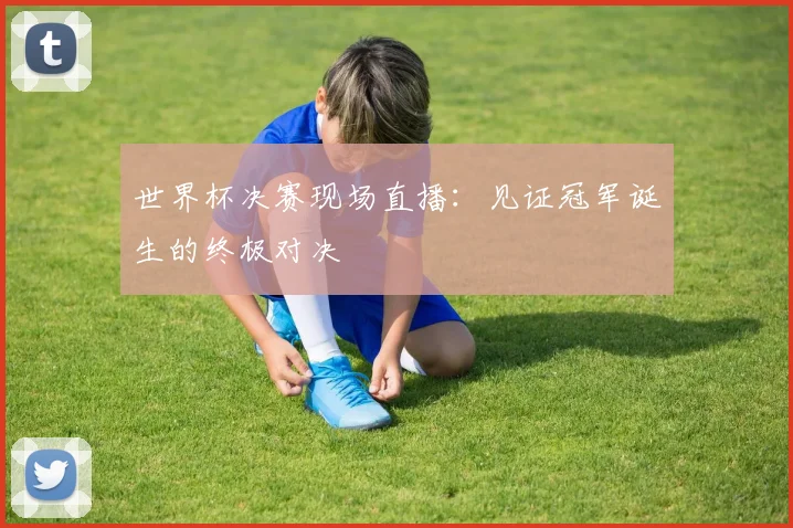 世界杯决赛现场直播:见证冠军诞生的终极对决
